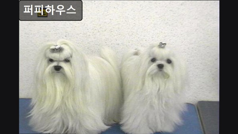사진 4