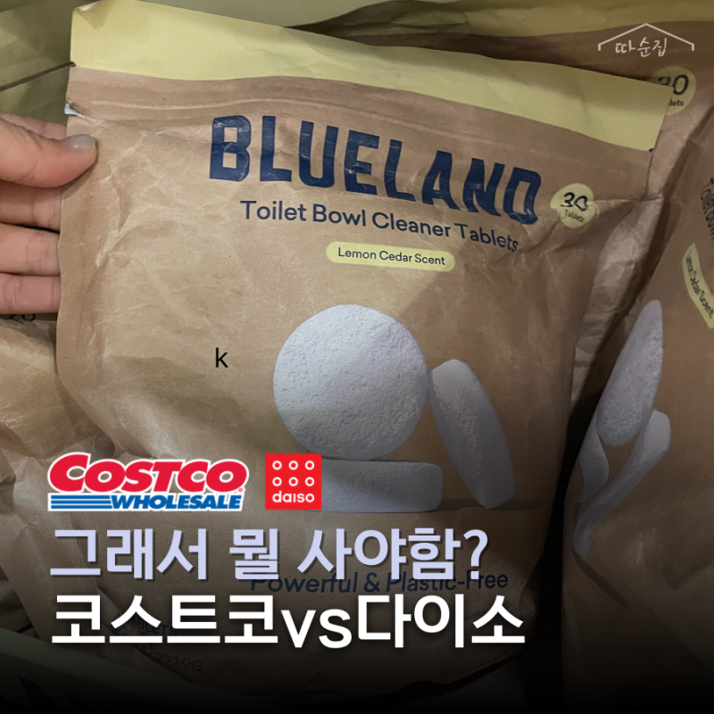 코스트코 변기세정제 vs 다이소 변기세정제 그래서 뭘 사야 할까