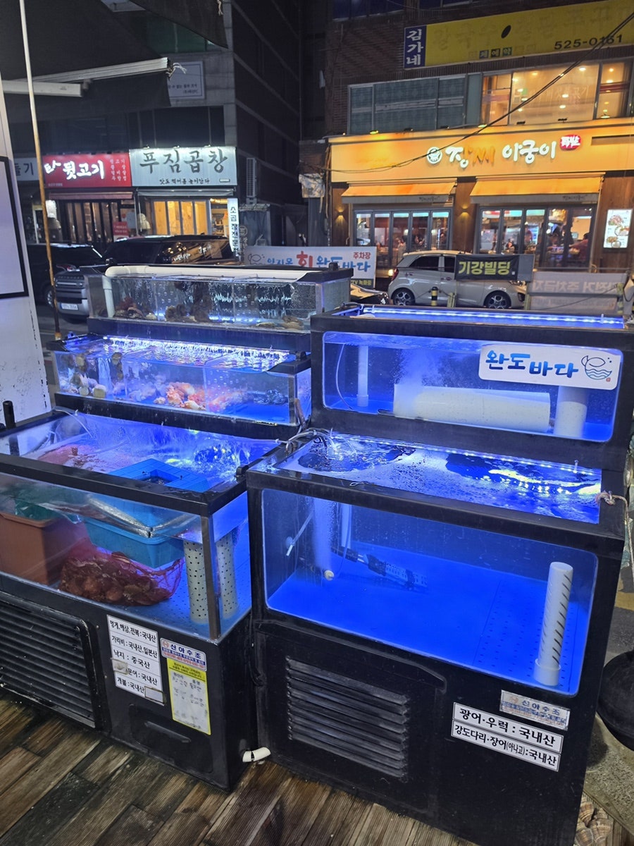 완도바다 사진 4
