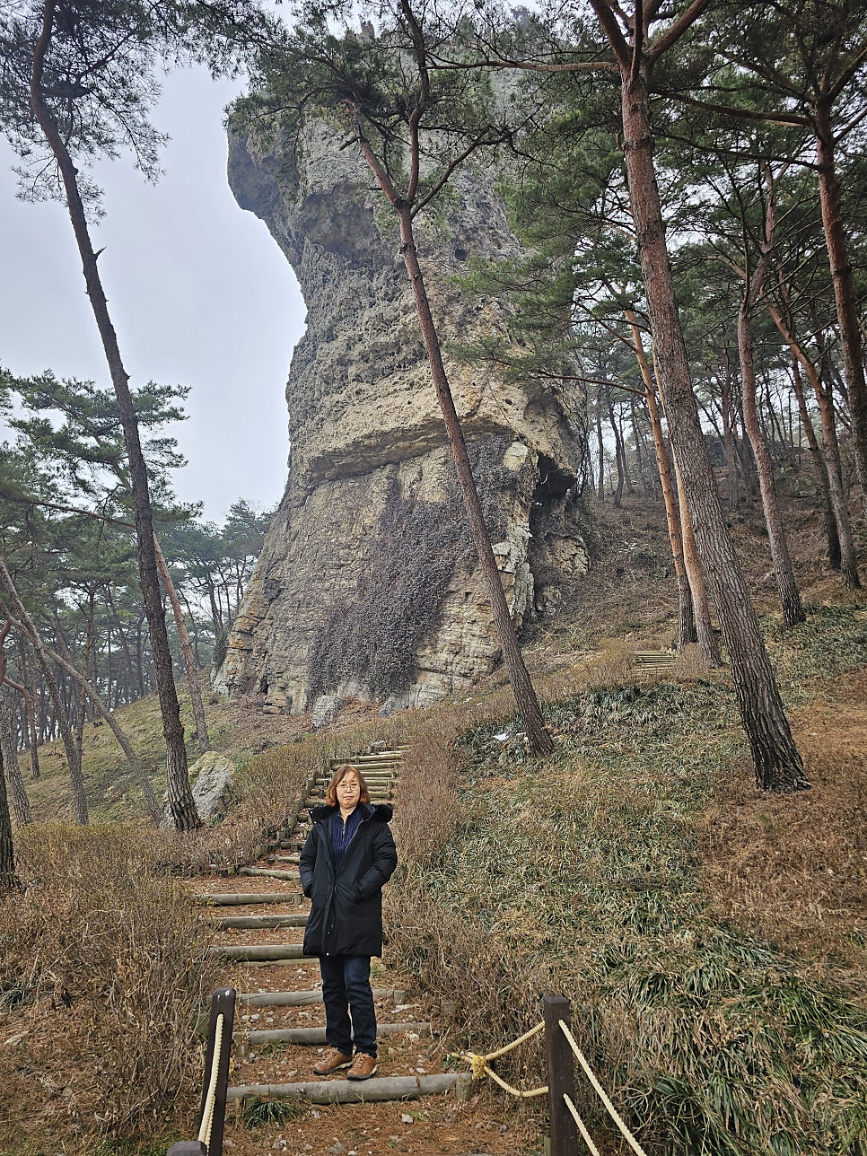 도래지 사진 3