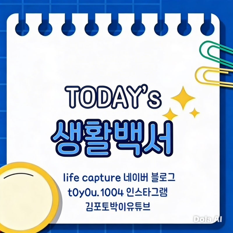 제주도 청년 이전 혜택 총정리 (2026 최신)