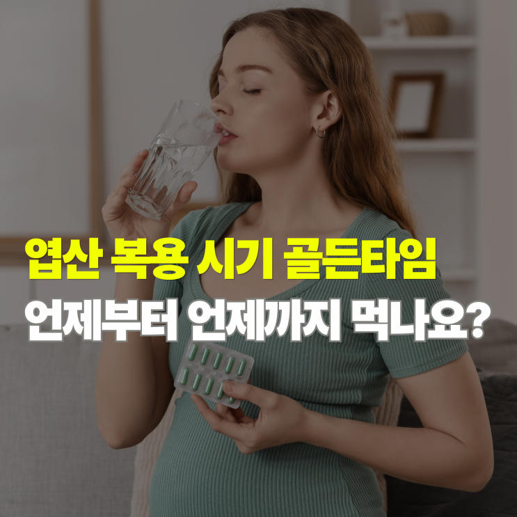  임산부 엽산 복용 시기 언제까지 먹어야 할까 권장 섭취량 정리