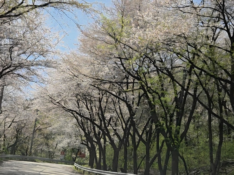 비천골 사진 6