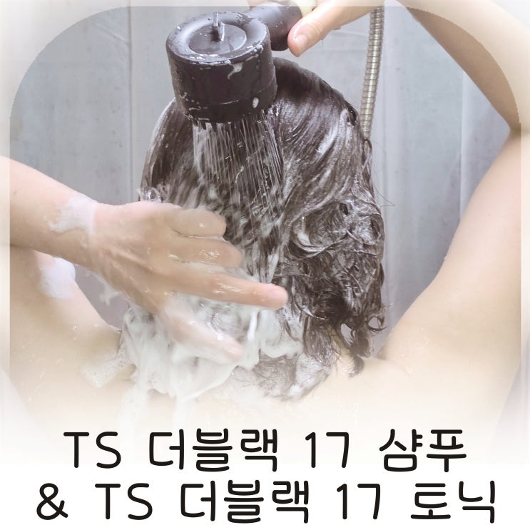  프리미엄탈모샴푸 TS더블랙17 샴푸&토닉세트, 블랙푸드샴푸로 두피관리