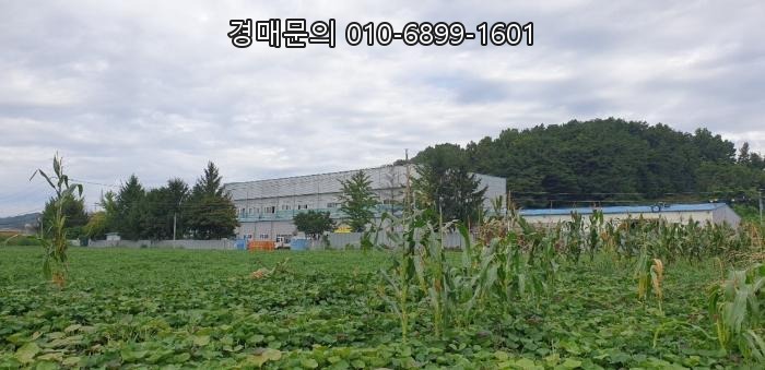  급매보다 싼 음성군 감곡면 상우리 공장 법원 매각! 4197평 토지, 2133평 건물! 감곡IC 인근, 2021타경32452