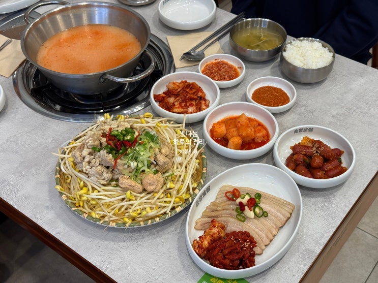 손정보쌈 당산역점 가브리보쌈 & 얼큰 알곤이칼국수전골