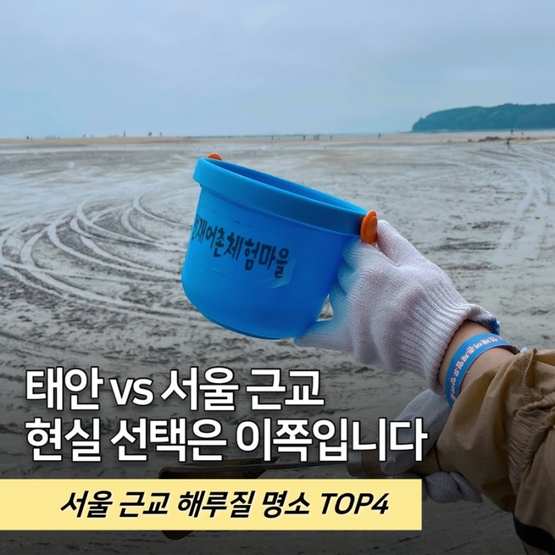 태안은 멀다구요? 그렇다면 서울 근교 해루질 명소 TOP4