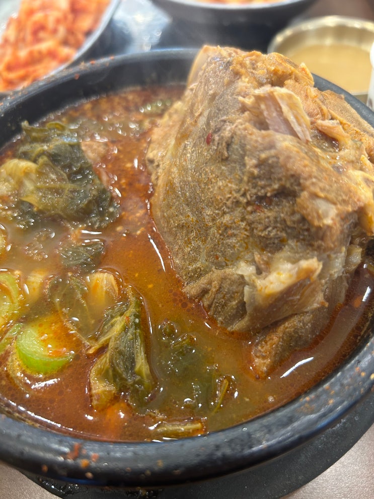  전농동 혼밥 맛집, 든든한 뼈해장국 추천 <조선감저 전농>