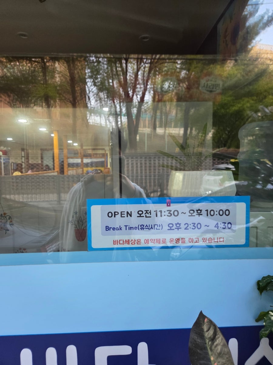 바다세상 사진 2