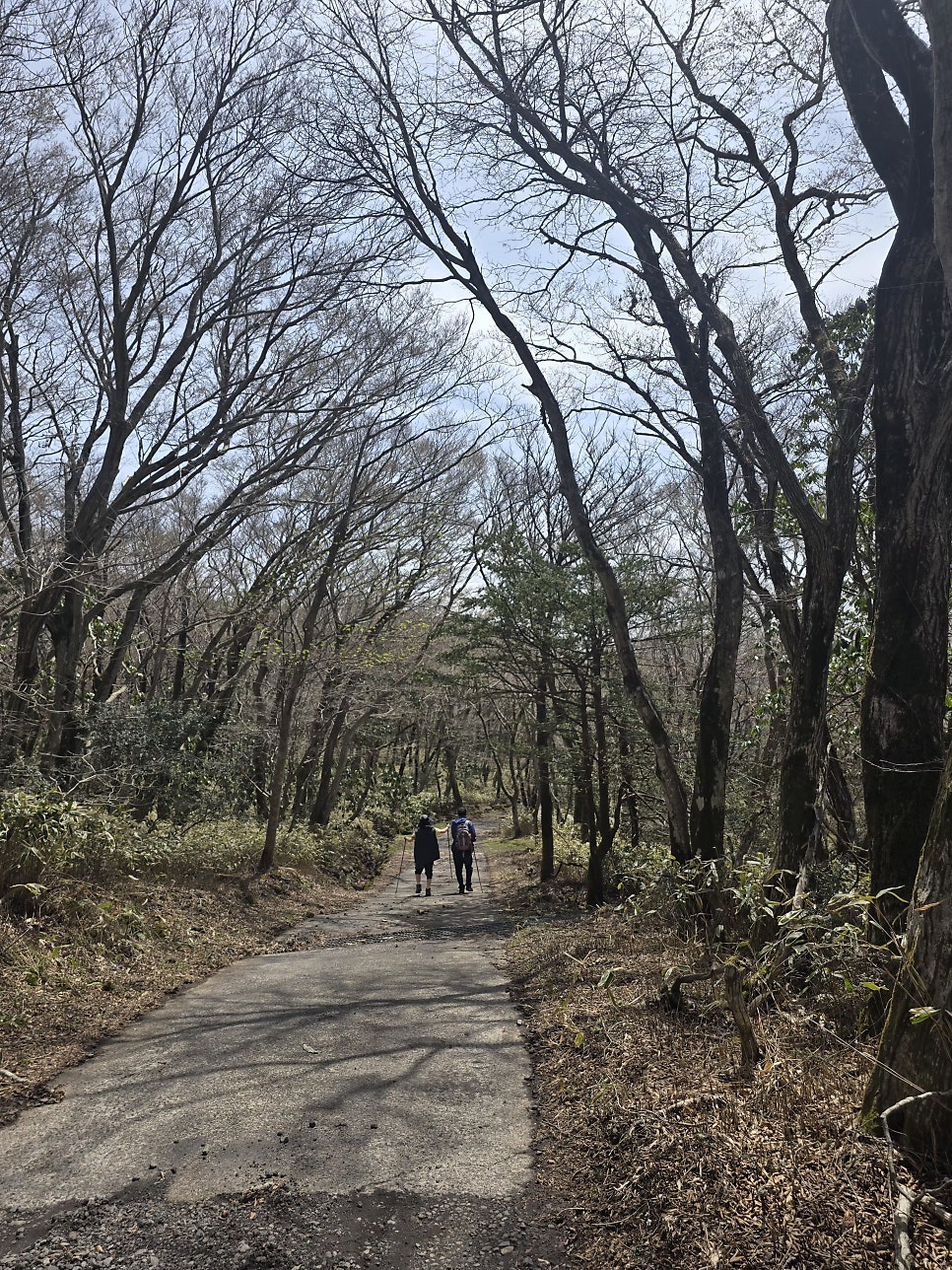 노로오름 사진 2