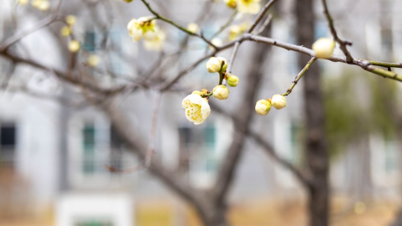 사진 5