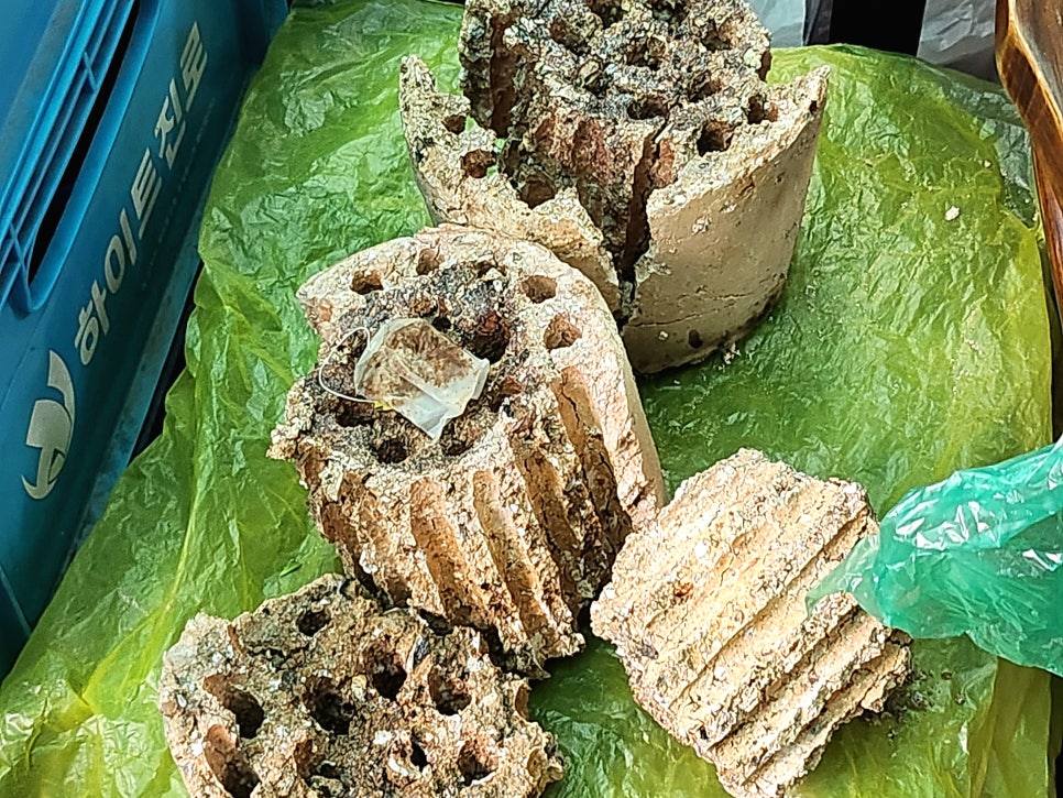 마포구이구이 사진 2