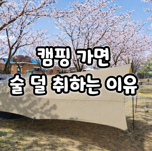  술 마시고 속 안 좋을 때 느끼는 숙취, 약국숙취해소제 깨노니 땡큐샷 후기