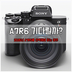 소니 A7R5, 2026년에도 여전히 현역인 이유 3가지