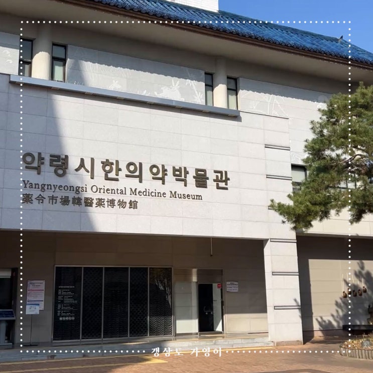  대구 약령시한방박물관, 약전골목 방문 후기(체험, 족욕, 주차, 편의정보)