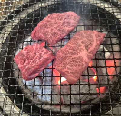 사진 5
