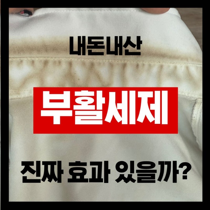 [내돈내산] 부활세제 내돈내산 솔직후기 ｜부활세제 사용방법｜부활세제 흰옷｜전후사진 有