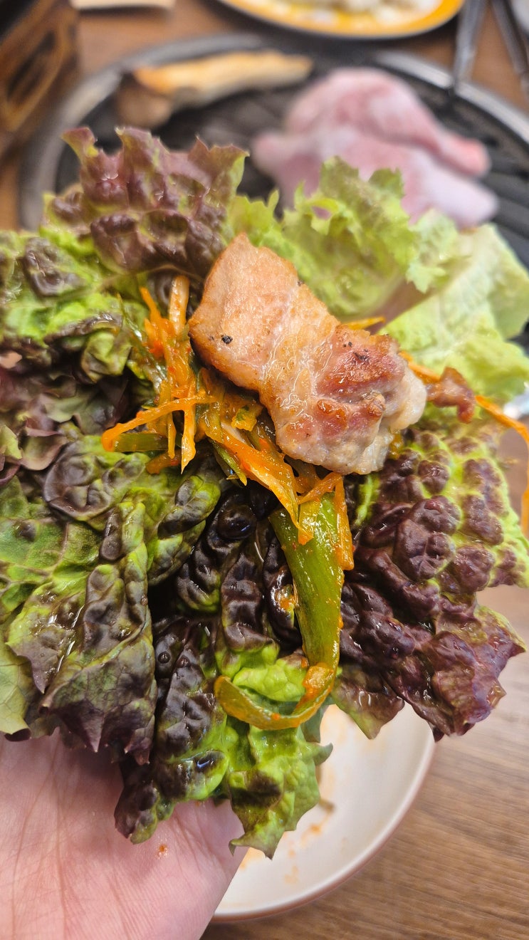  [평택]숙성 삼겹살 통항정살 돼지고기 맛집 평담