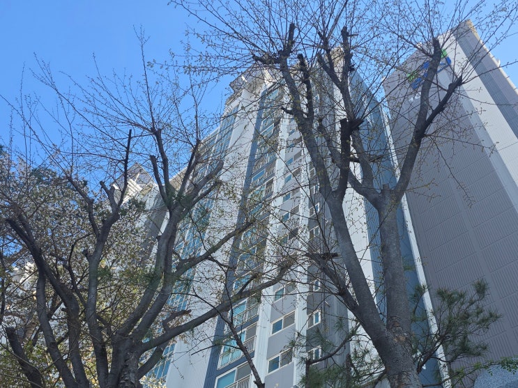  "전세 사는 1주택자 대출 금지?" 금융위 만기 연장 불허 검토의 후폭풍