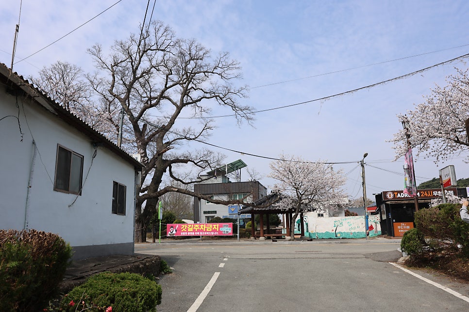 군서파출소 사진 4