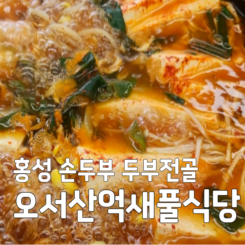백반기행 홍성 두부전골 손두부 오서산억새풀식당 이태란도 반한 맛집 정보