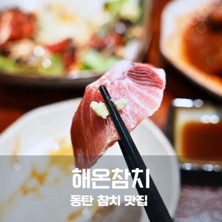  동탄 참치회 맛집 여기 하나로 끝 해온참치 세트 구성 이건 반칙
