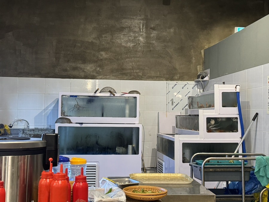 참새이모 사진 6