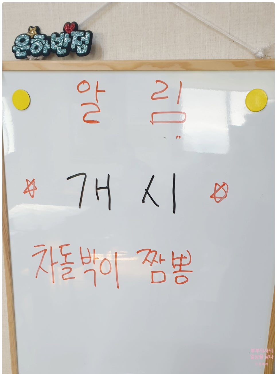 은하반점 사진 5