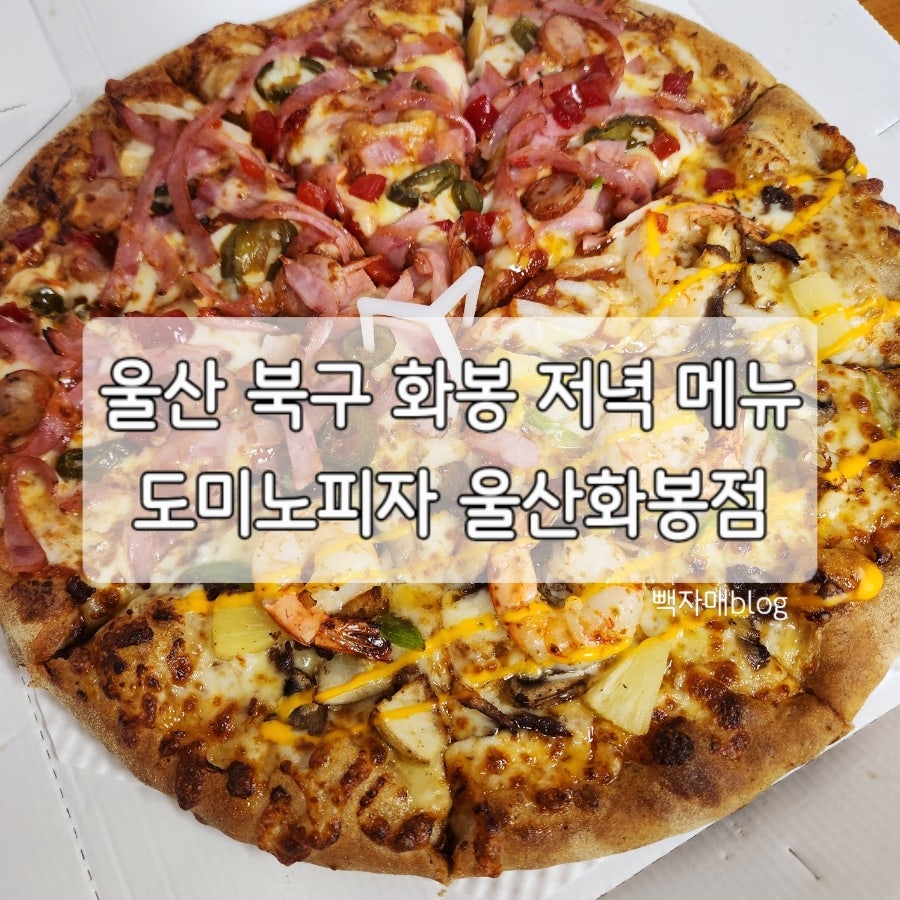 도미노피자 울산화봉점 사진 1