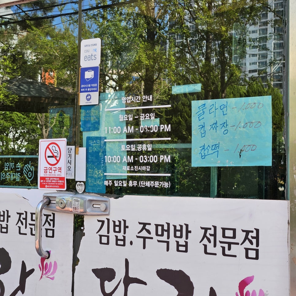 다미락 사진 4