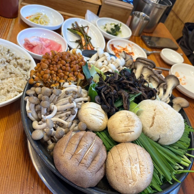 풍암동 백숙 맛집, 국물 진한 보양식 능이버섯백숙