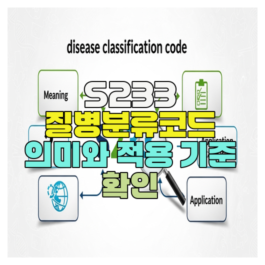  S233 질병분류코드 의미와 적용 기준 확인