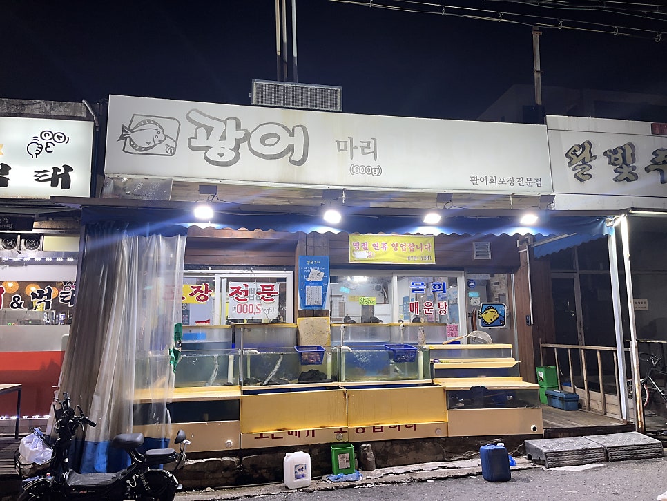 광어두마리 사진 2