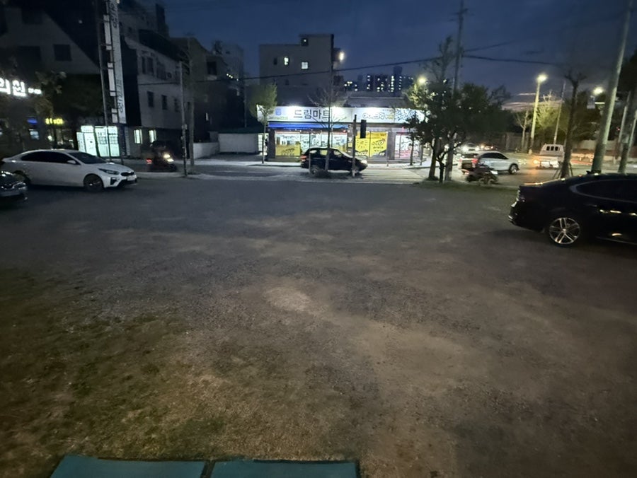 대안정 사진 2