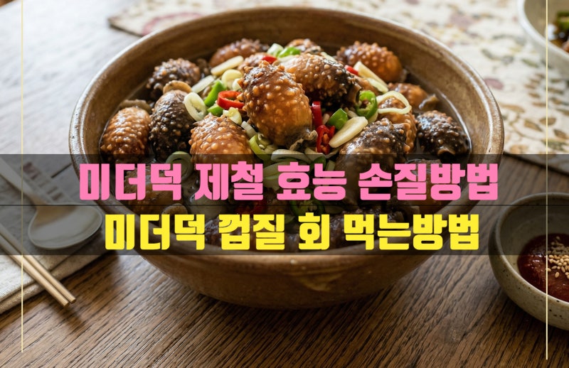 미더덕 제철 효능 손질 보관방법 미더덕 회 껍질 제철 효능 먹는법 칼로리