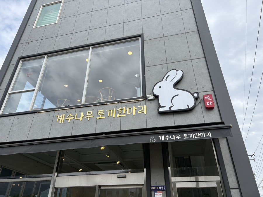 계수나무 토끼한마리 사진 3