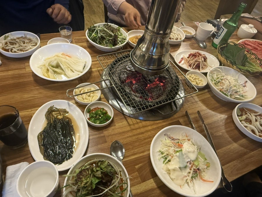 대안정 사진 6