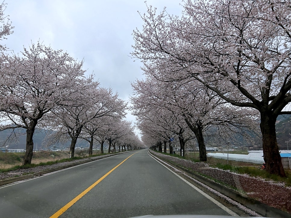 청양나선형도로 사진 2
