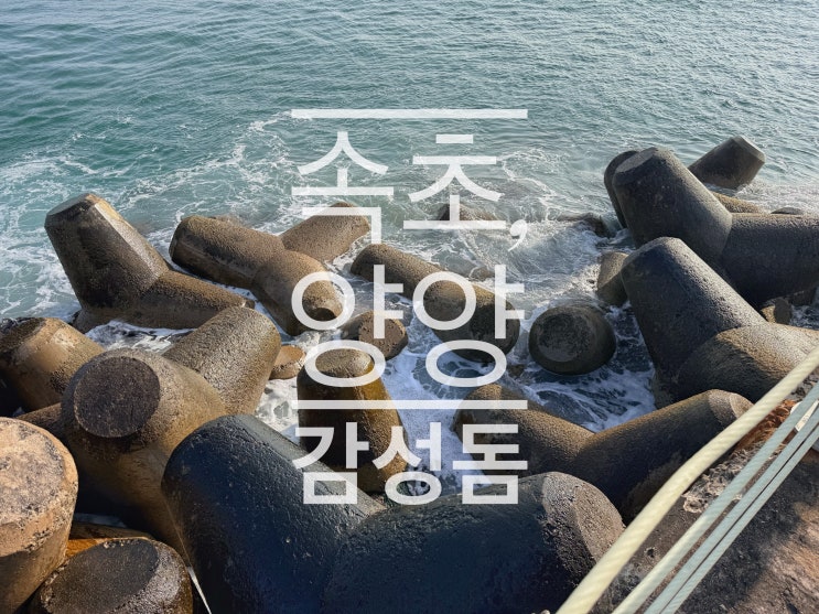  속초, 양양 원투 낚시 감성돔은 아직…?