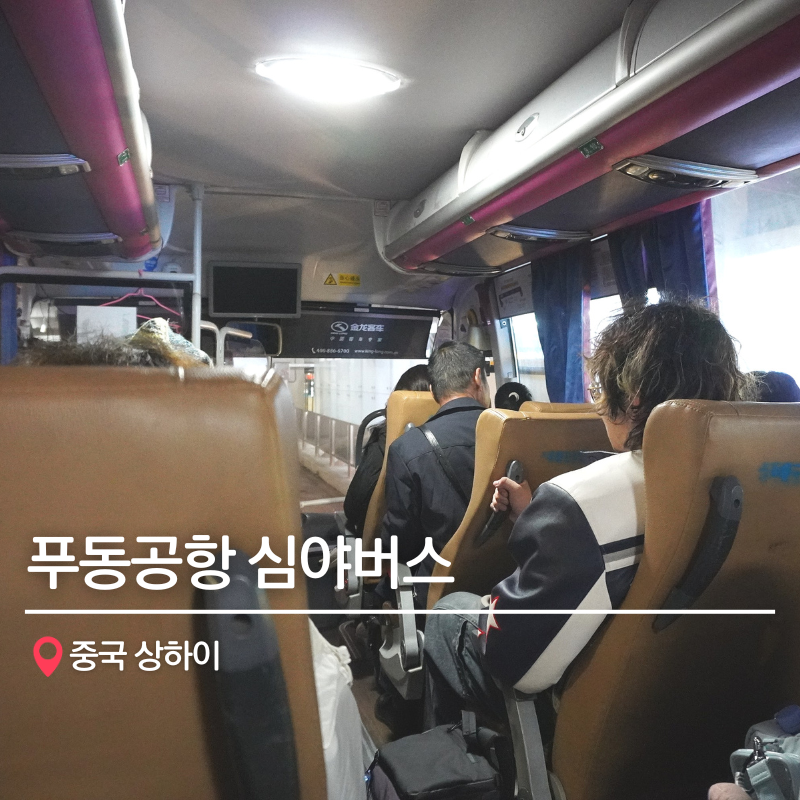 상하이 푸동공항에서 인민광장까지 심야버스 타는 방법 총정리