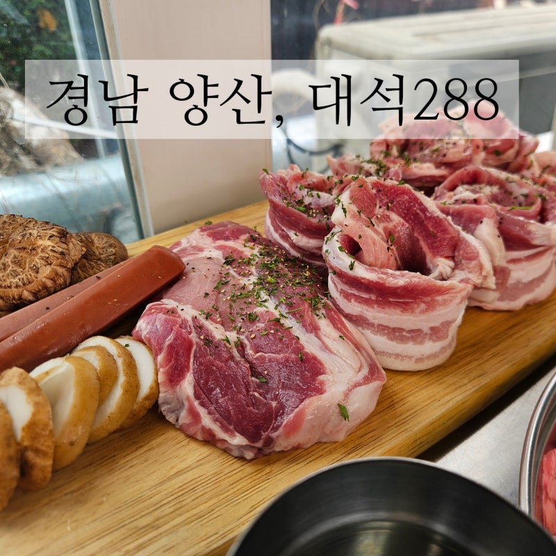 사진 6