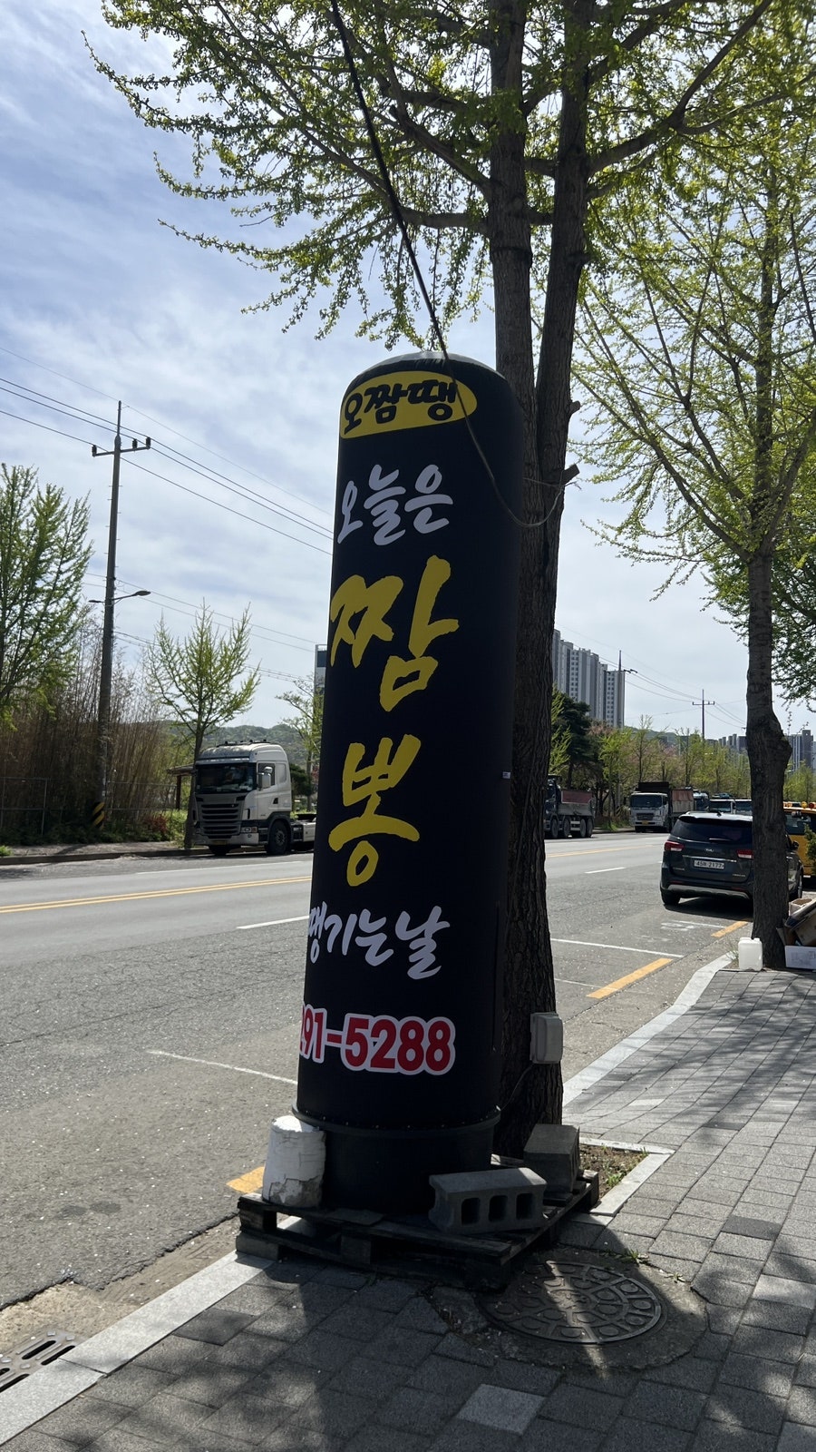 오늘은짬뽕땡기는날 사진 2