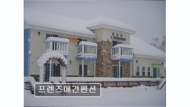 프렌즈애견펜션