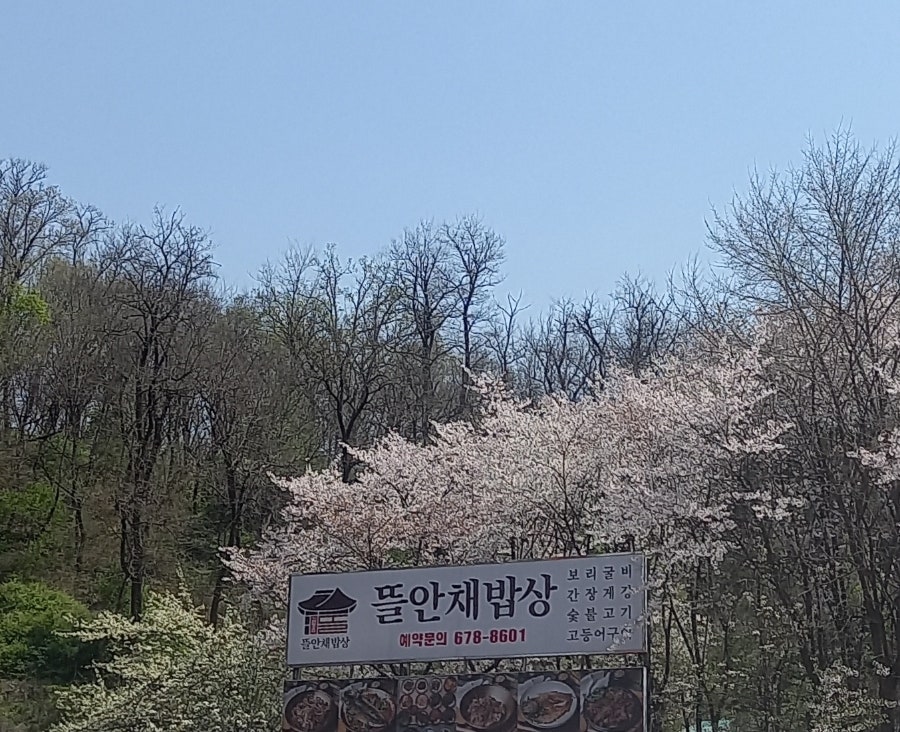 맛있는밥상 사진 2