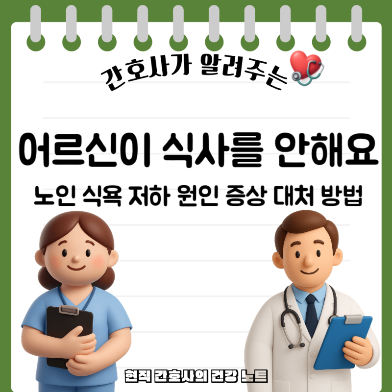노인 식욕 저하 원인 증상 대처 방법 간호사가 알려주는 핵심 정리