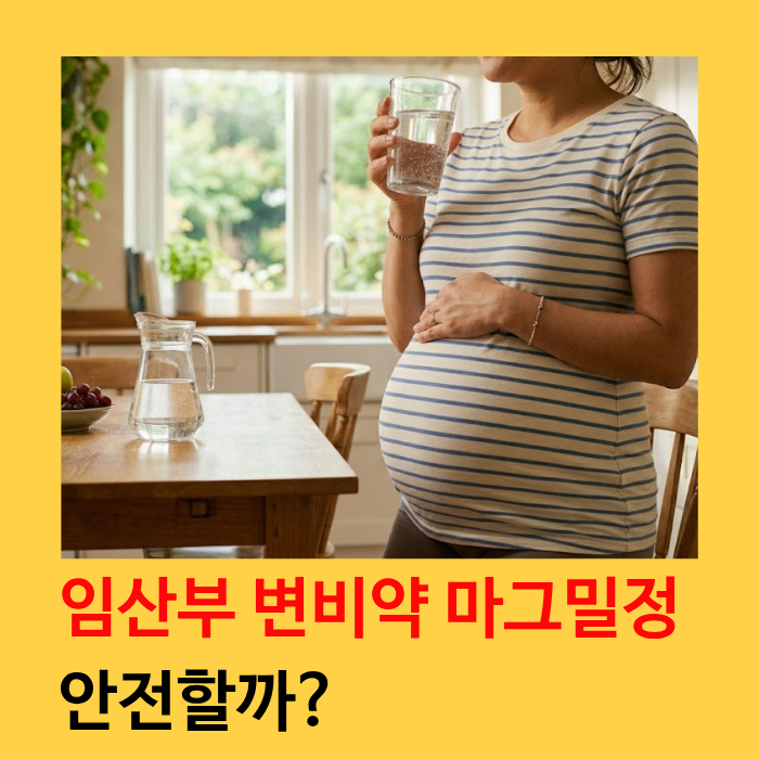산부인과에서 처방하는 임산부 변비약 마그밀정, 효과와 주의사항