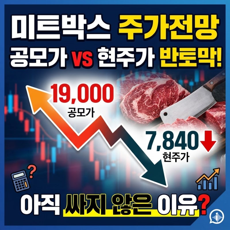 미트박스 주가전망, 목표가 핵심 총정리