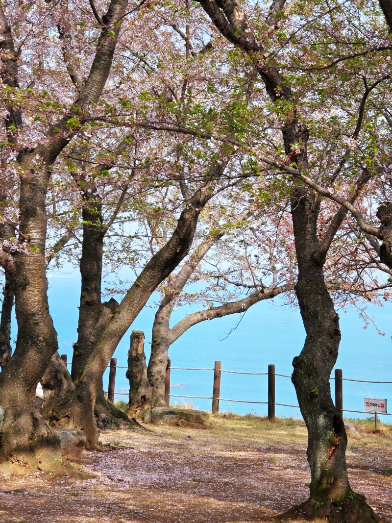 사진 9