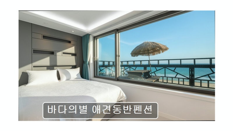 사진 3
