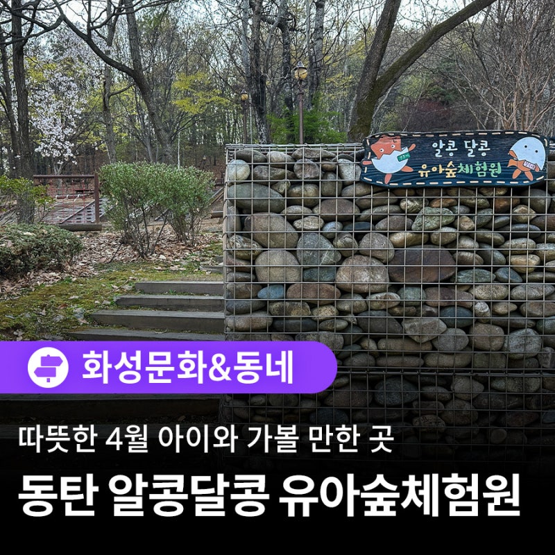 따뜻한 4월 아이와 가볼만한곳, 동탄 알콩달콩 유아숲체험원
